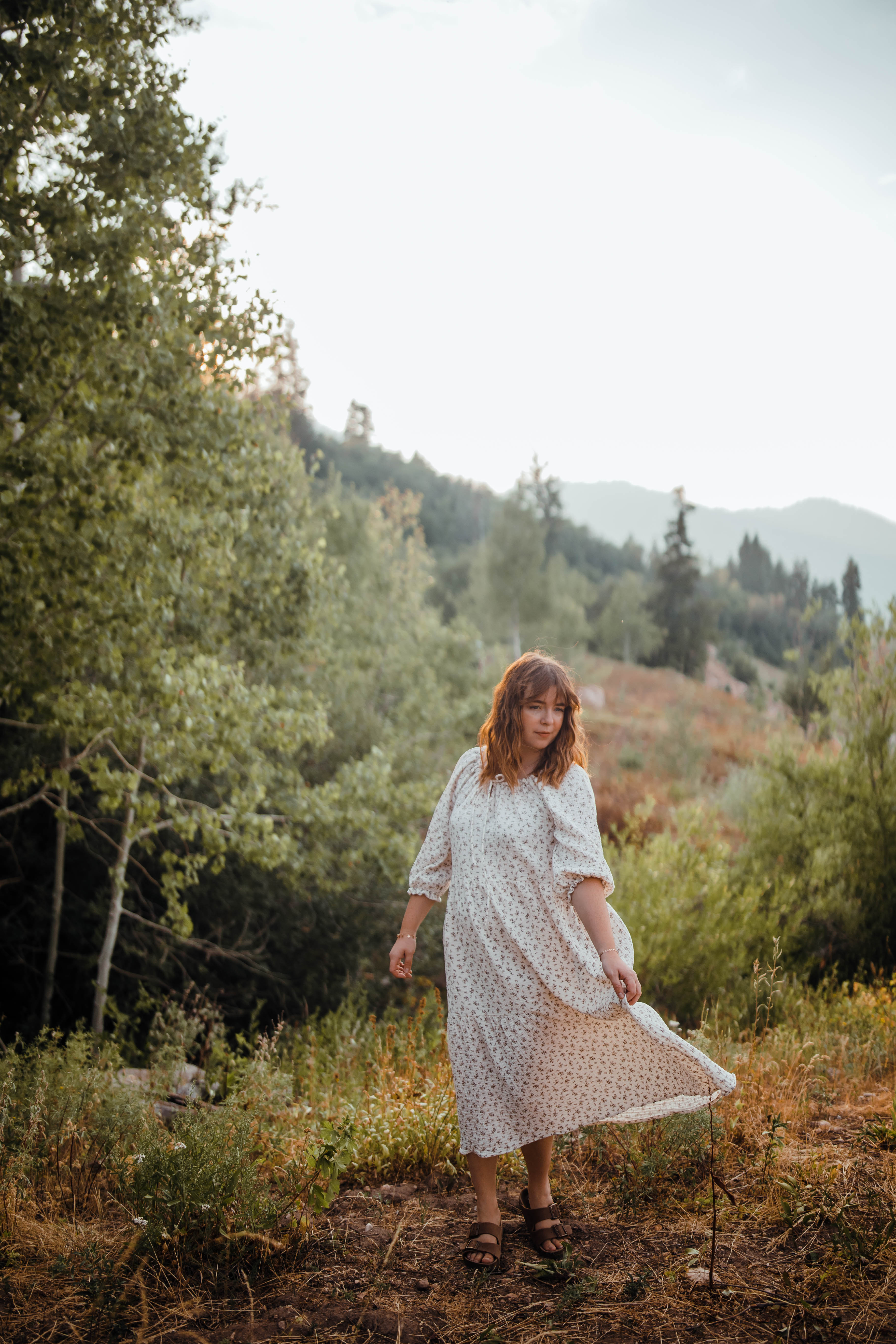 Katelyn dress--brown floral