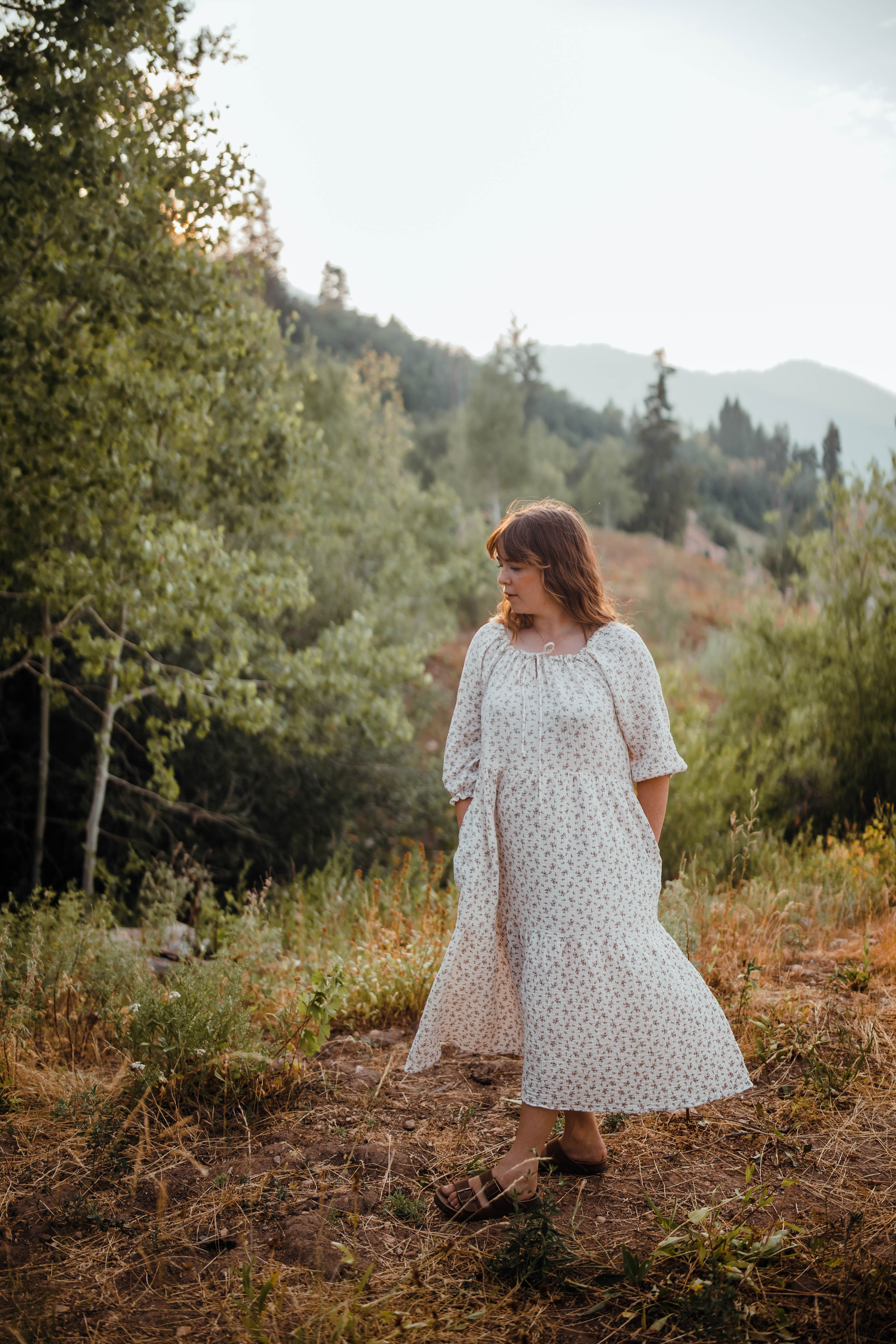 Katelyn dress--brown floral