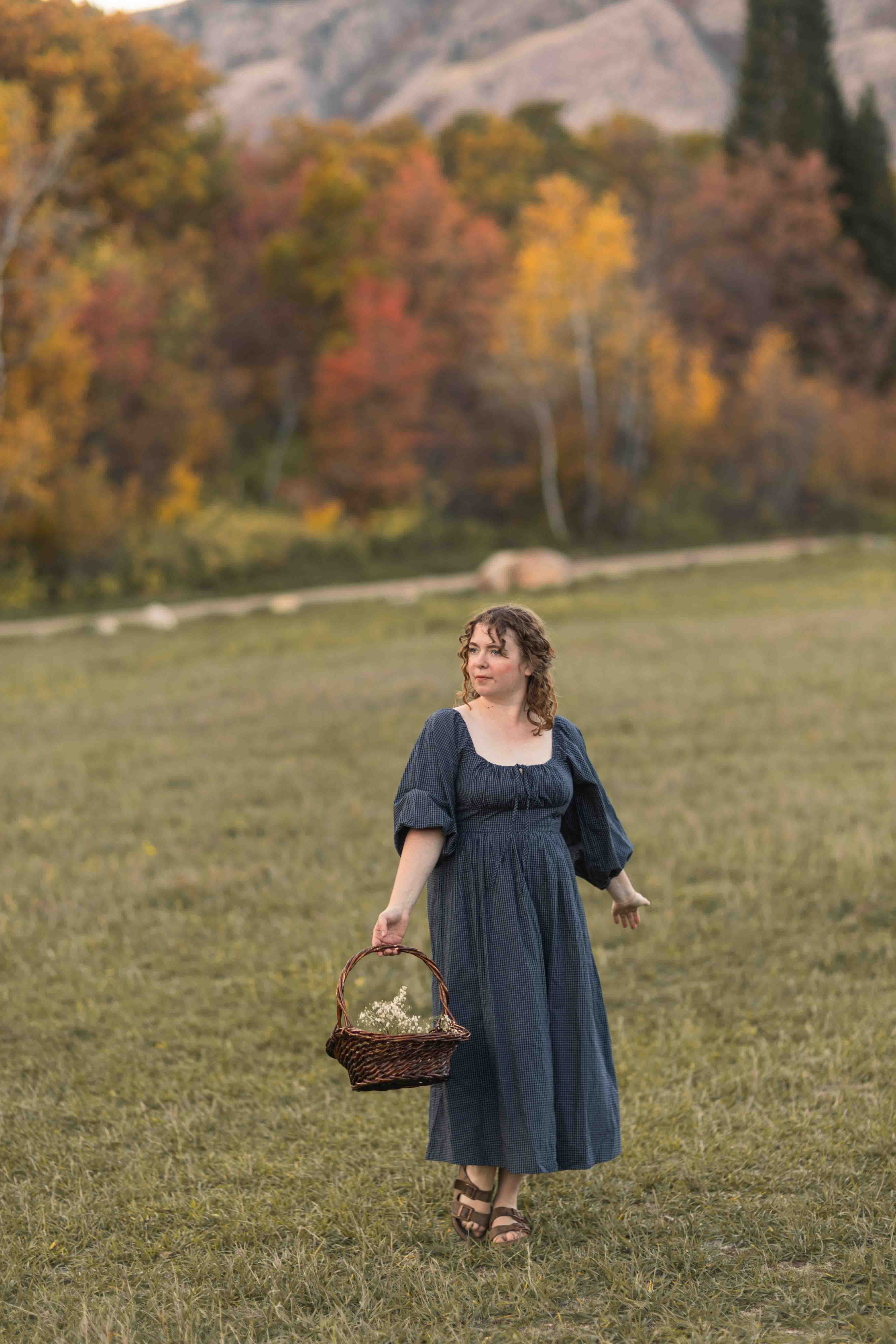 Carlisle Dress