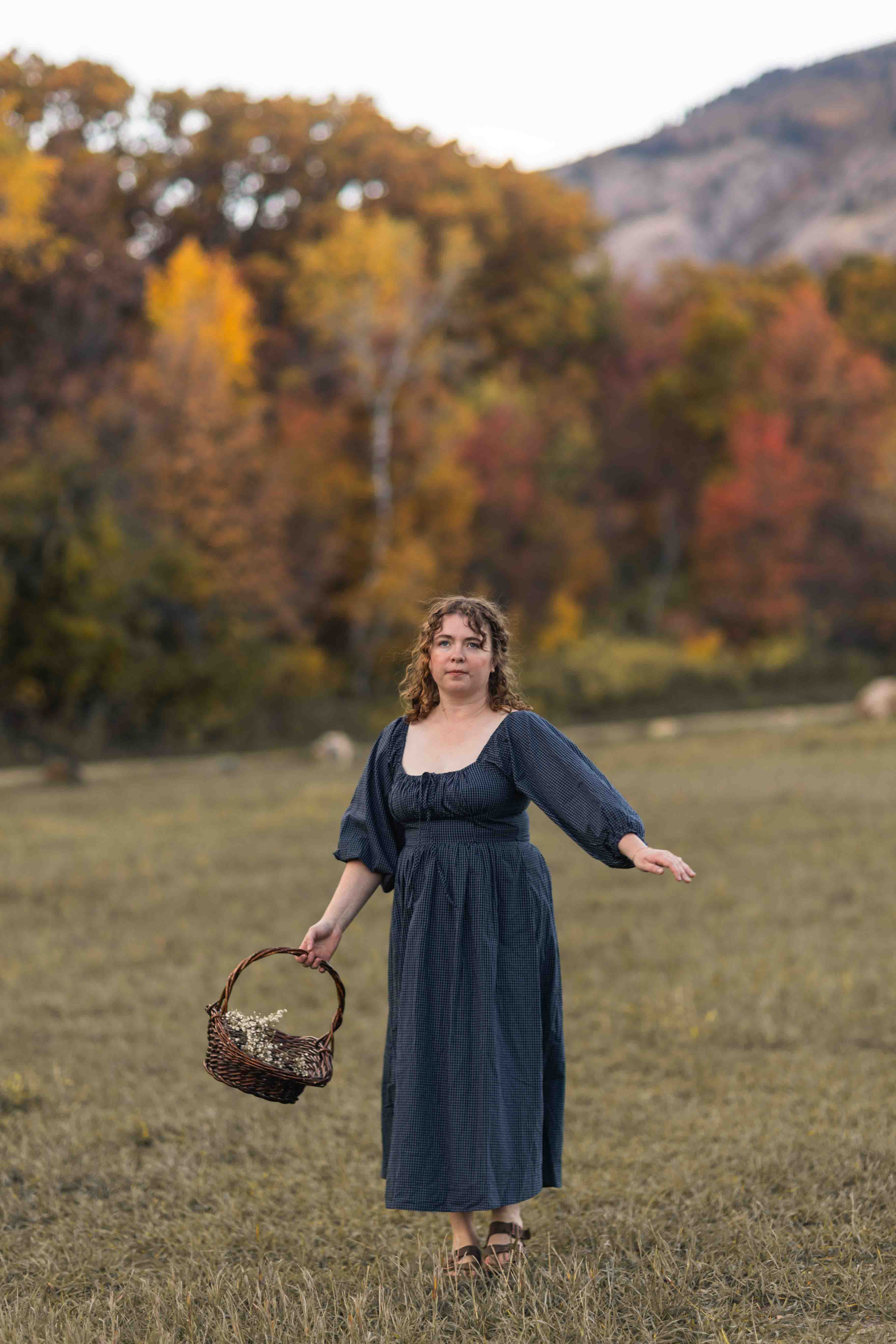 Carlisle Dress