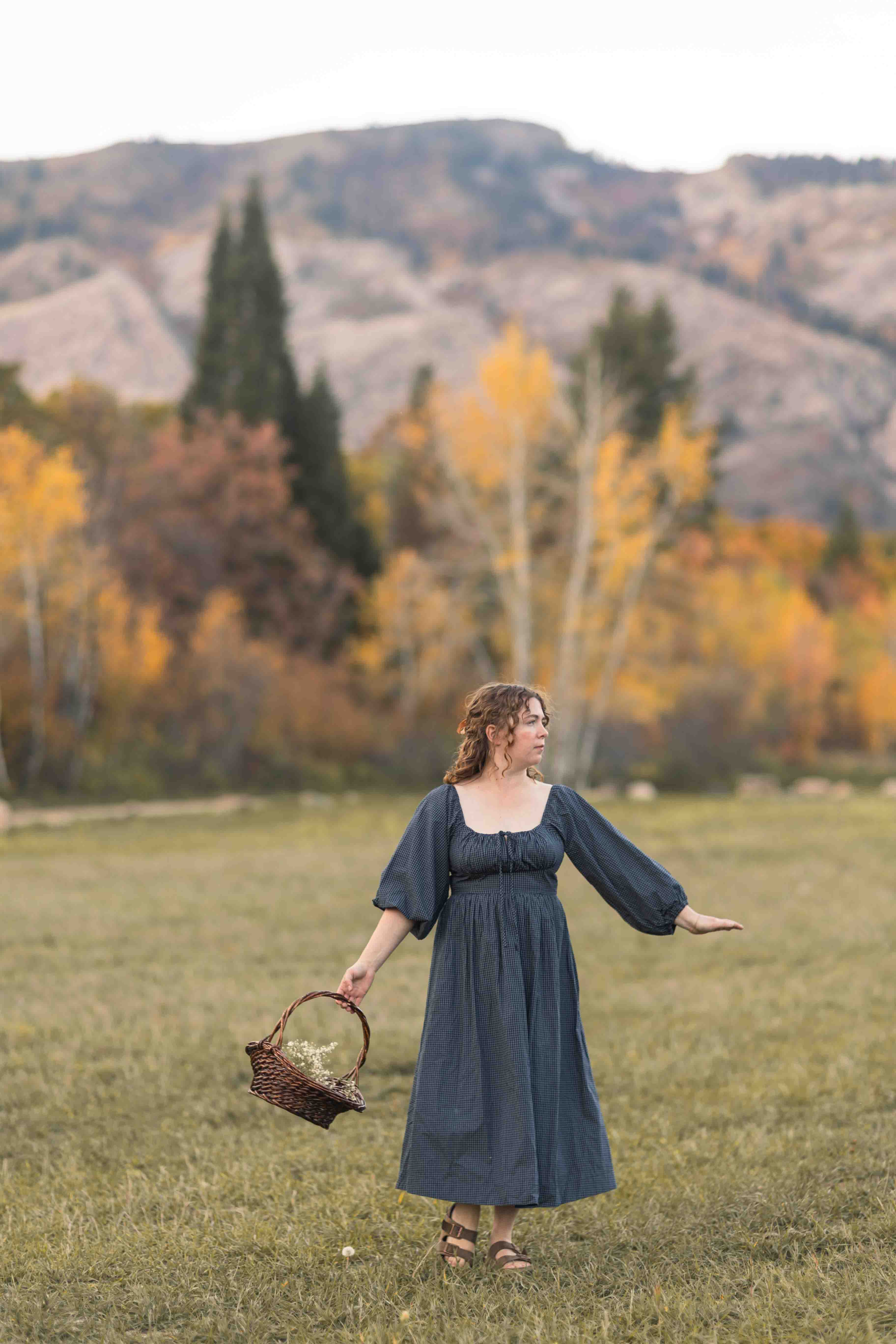 Carlisle Dress