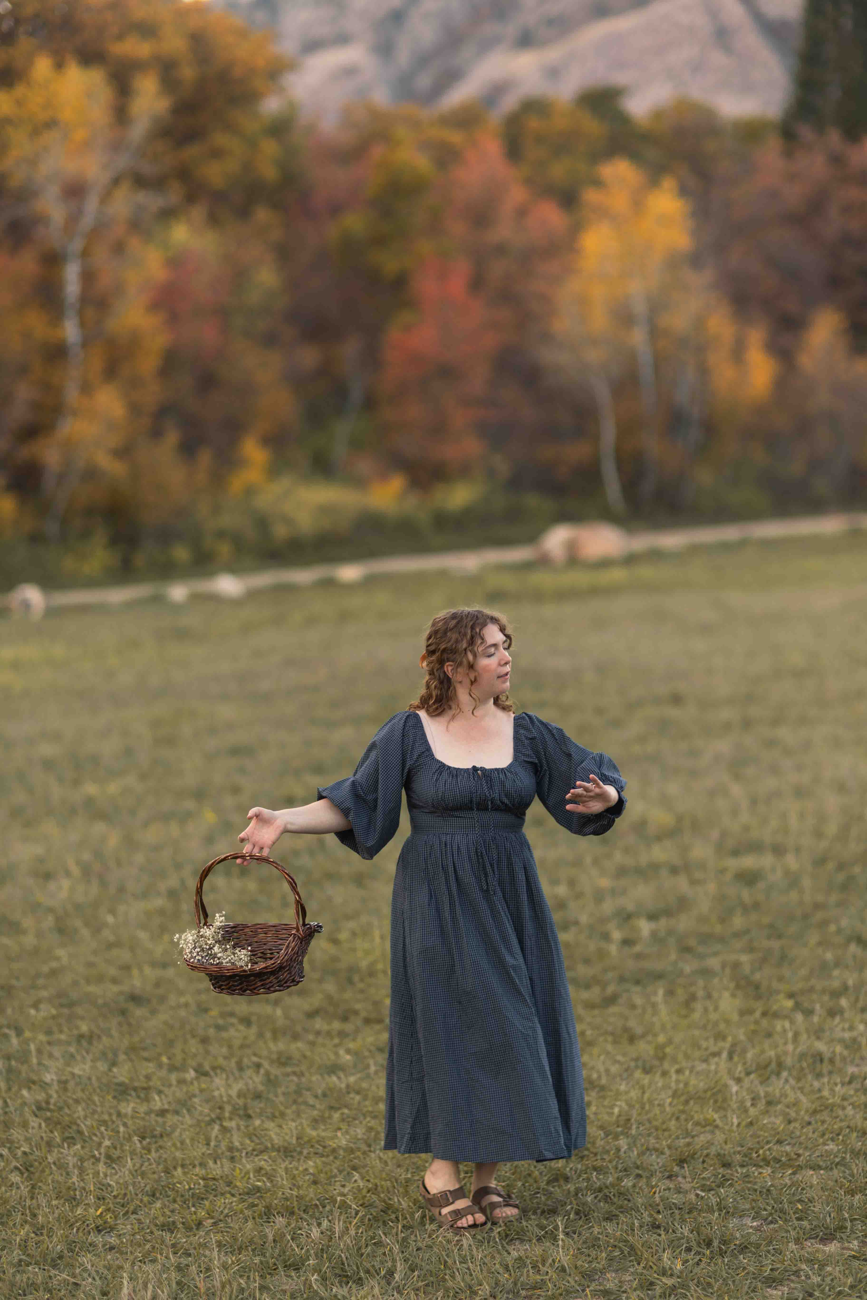Carlisle Dress