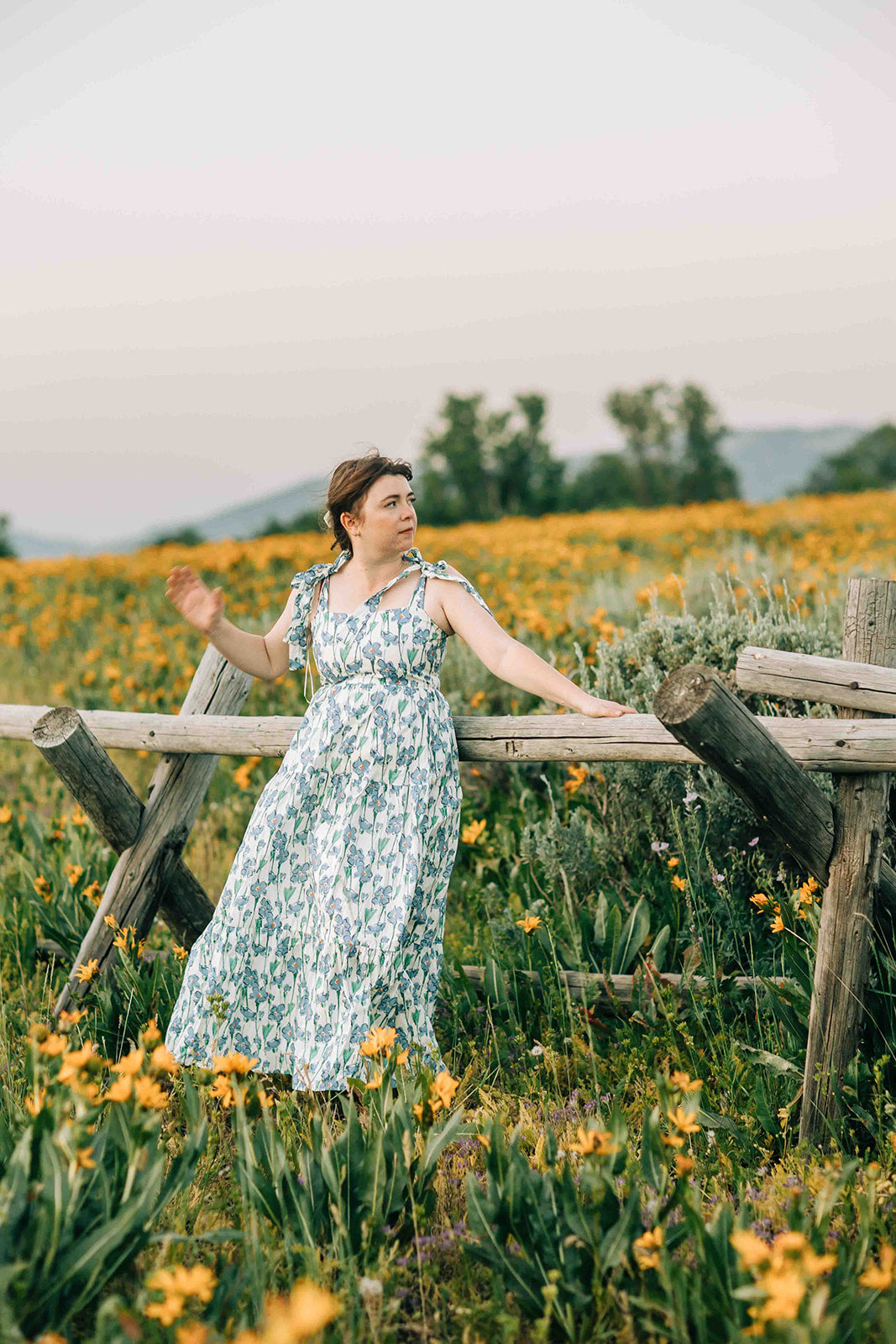 Iris Dress