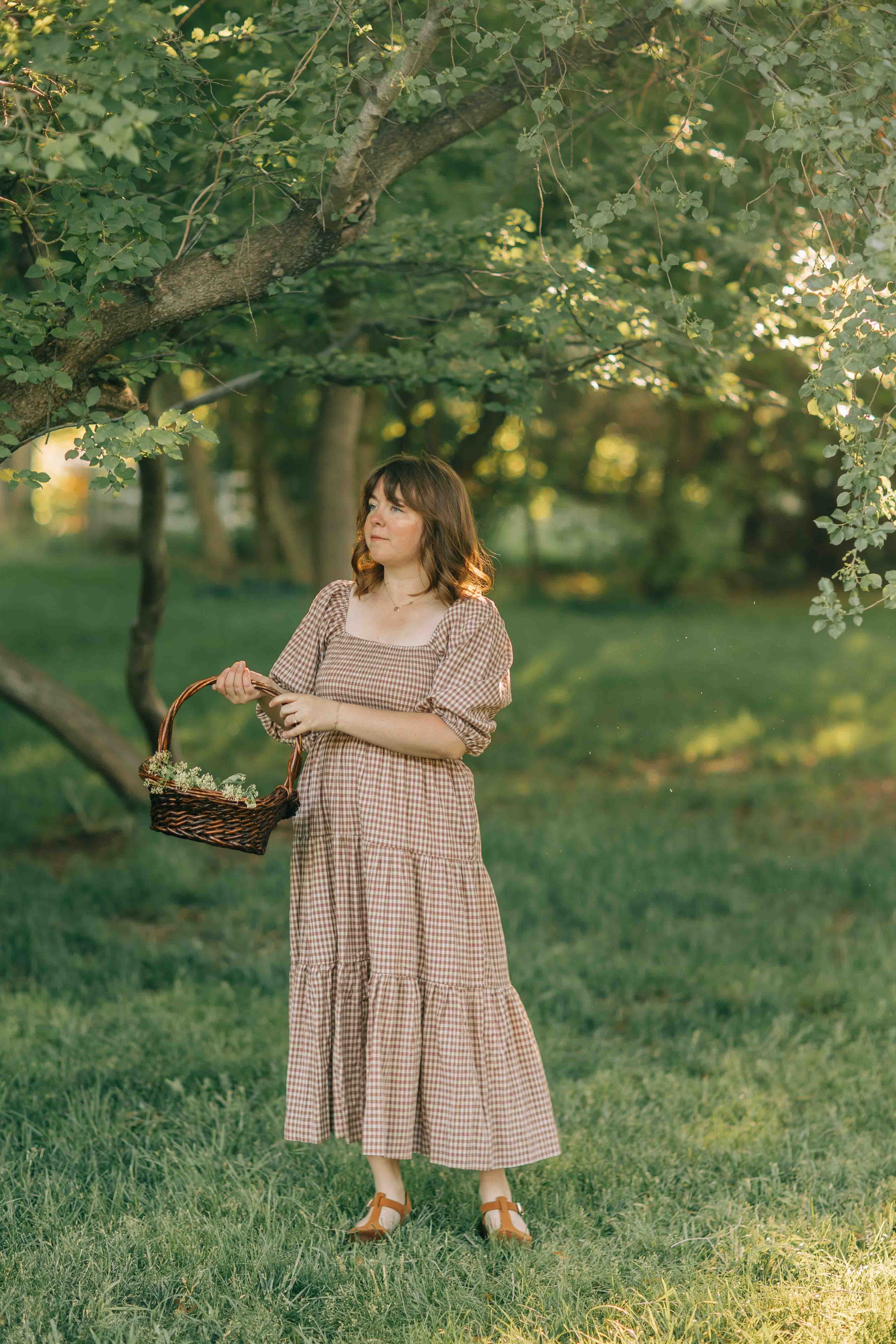 Felicity Dress--Rosewood Gingham