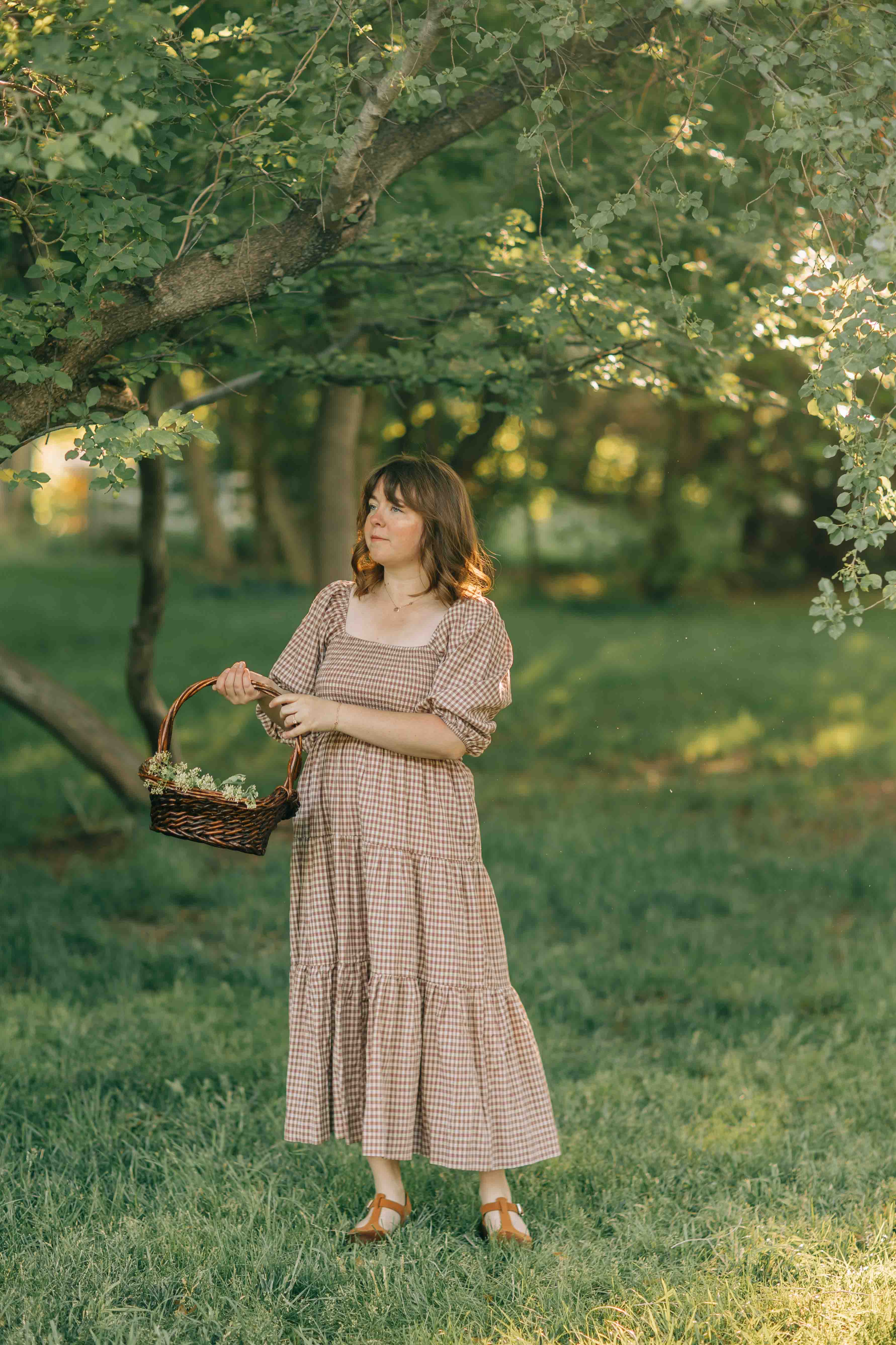 Felicity Dress--Rosewood Gingham