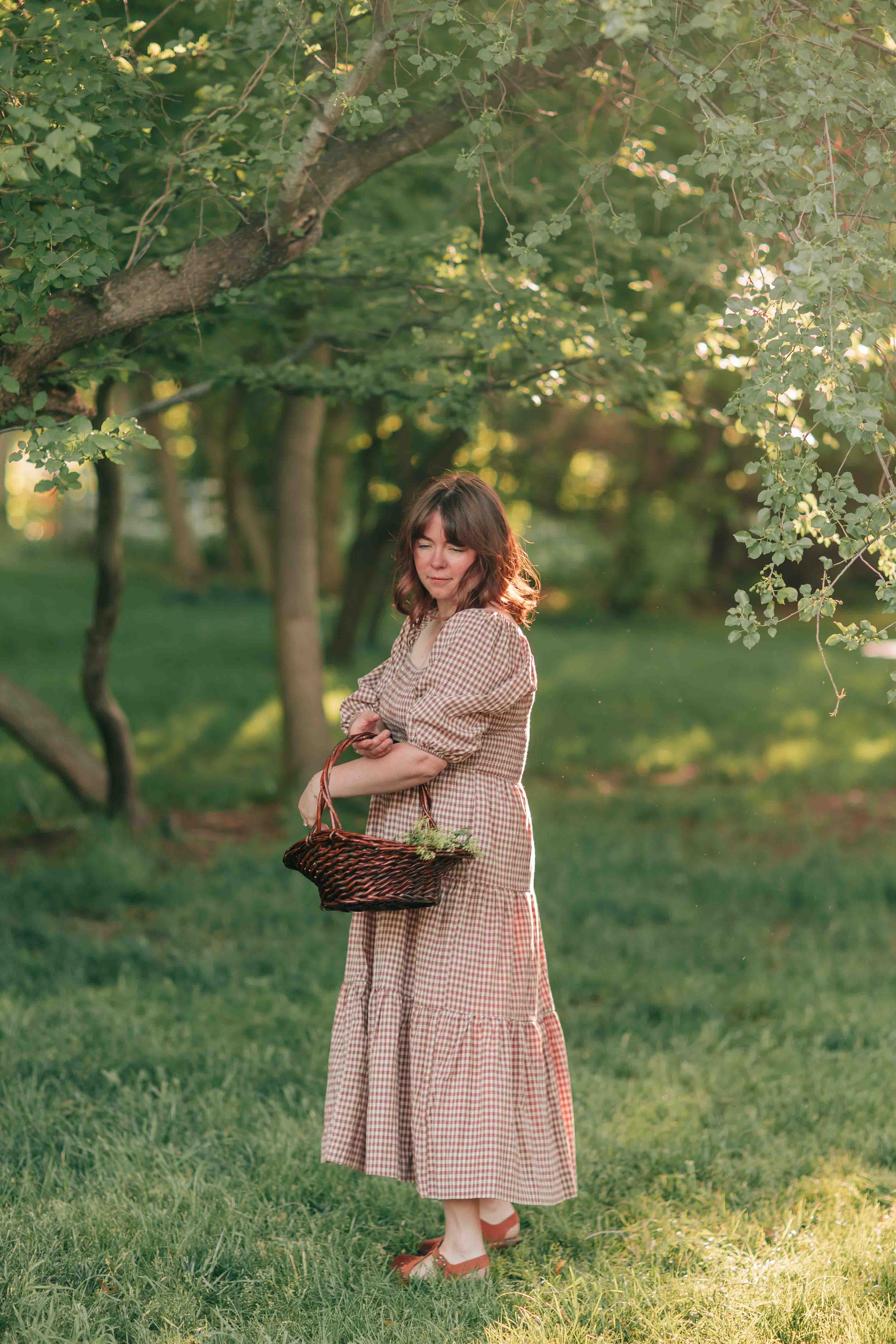 Felicity Dress--Rosewood Gingham