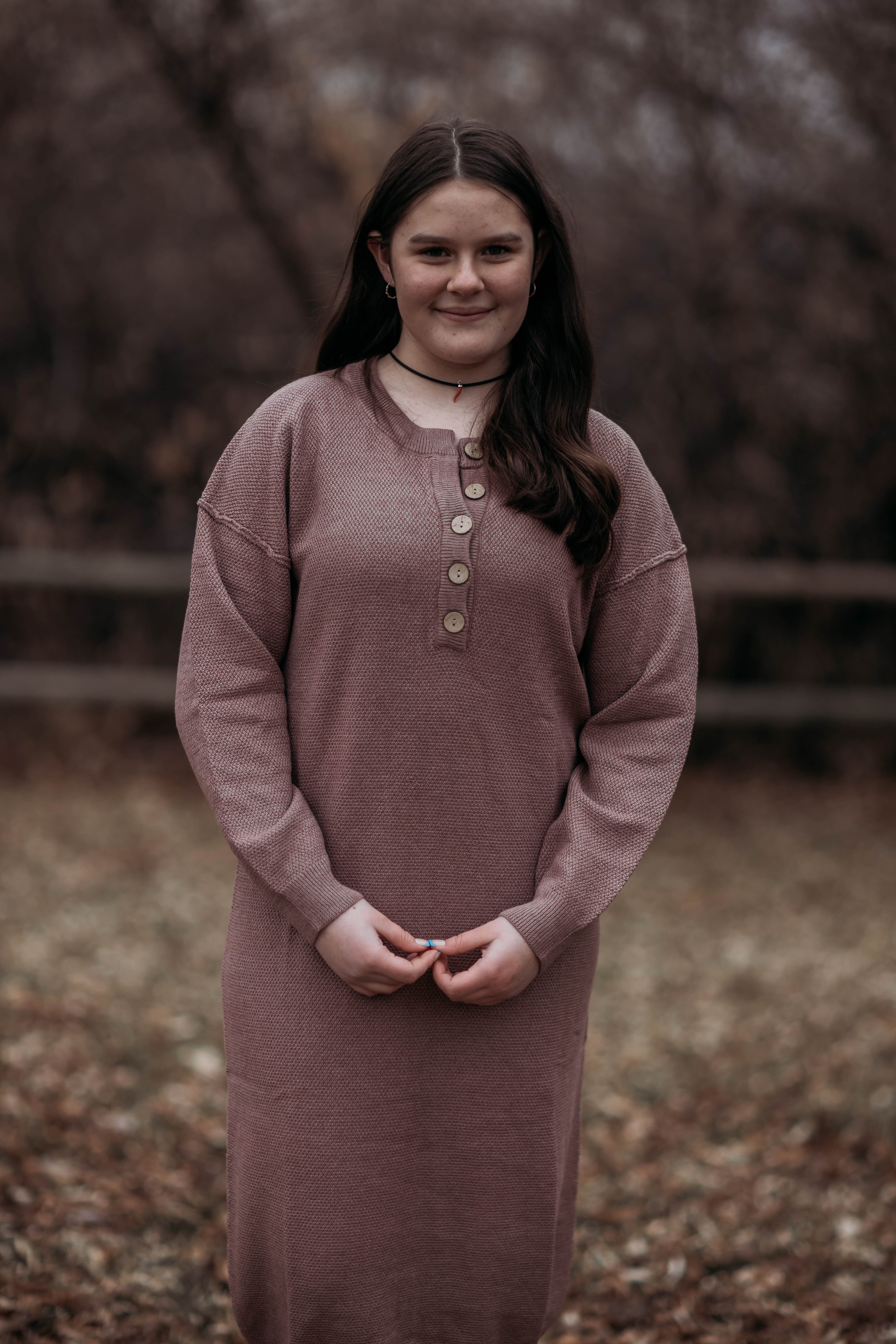 Fawn sweater dress--purple brown