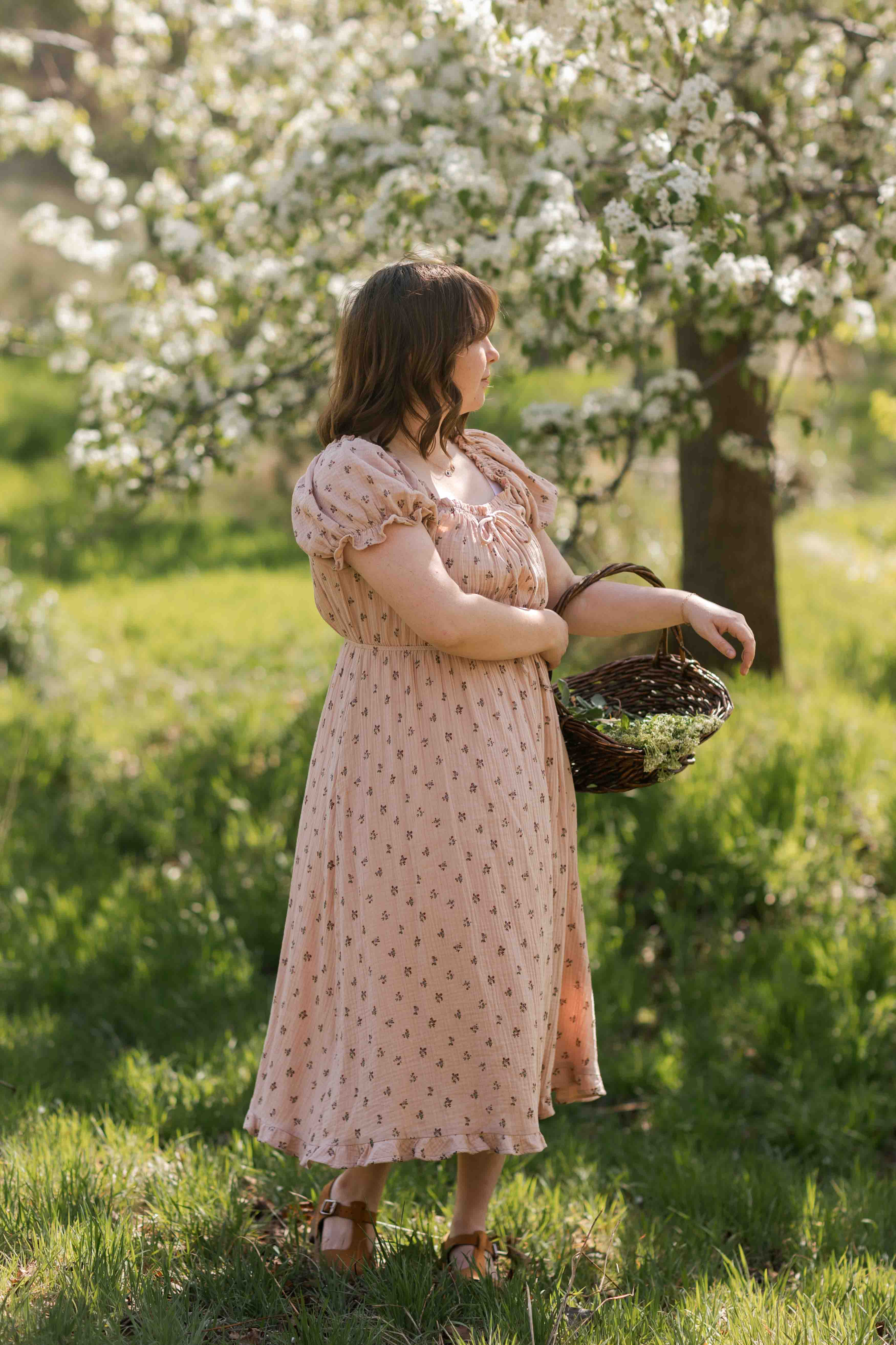 Franklin Dress
